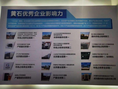 黃石首個科技中介服務盛會武漢開幕，搭建區域科創資源對接平臺